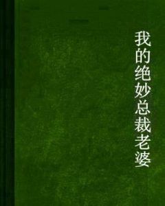 我的絕妙總裁老婆 我的絕妙總裁老婆