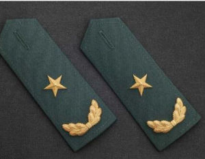 少將軍銜 少將軍銜