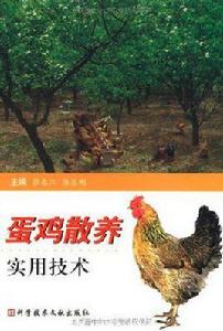蛋雞散養實用技術 蛋雞散養實用技術