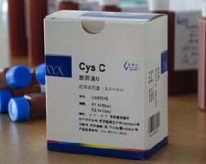 胱抑素C 胱抑素C