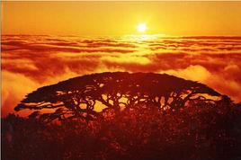 聖堂山景區 聖堂山景區