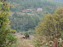 竹溝村[雲南省尋甸縣金所鄉下轄村]