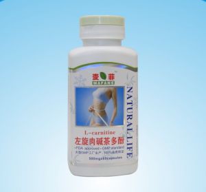 左旋肉鹼茶多酚軟膠囊 左旋肉鹼茶多酚軟膠囊