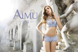 廣東艾慕內衣有限公司 廣東艾慕內衣有限公司