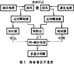 正電子湮沒譜學