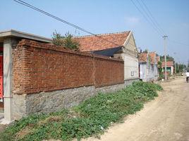 王莊村[安徽宿州市蕭縣孫圩子鄉王莊村]