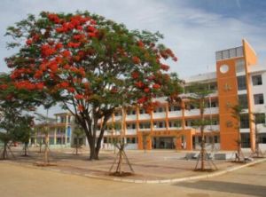 東紅國小 東紅國小