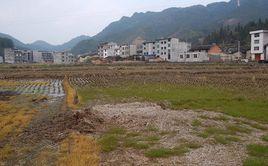 桃園村[福建省周寧縣純池鎮桃園村]