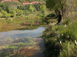 趙家登村 趙家登村