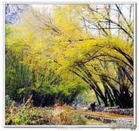 永定河峽谷風景照