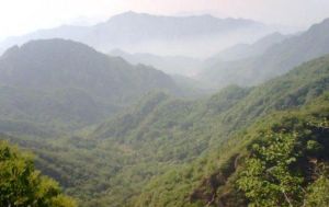 大嶺溝獼猴桃谷