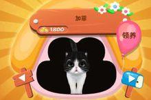 遊戲中的加菲貓