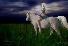 大草原的卡麗熙