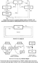 查理士&middot;巴赫曼