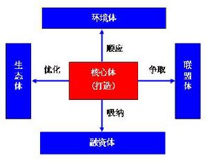 雲海戰略的五和戰略