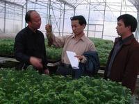 福建省洋口國有林場 福建省洋口國有林場