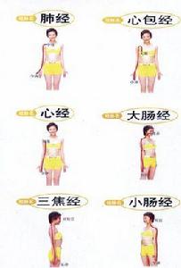 循經感傳 循經感傳