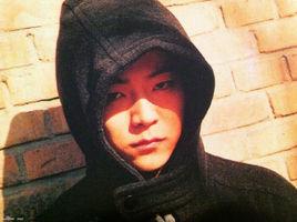 春去春來 春去春來