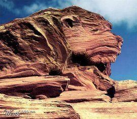 天下奇觀 天下奇觀