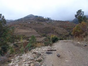 長谷嶺自然村 長谷嶺自然村