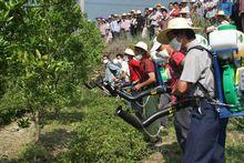 三甲街道[浙江省台州市淑江區下轄街道辦事處]