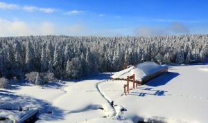 Yanbian Korean Autonomous Prefecture