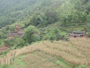 阮家組自然村 阮家組自然村