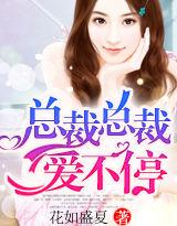 總裁總裁,愛不停 總裁總裁,愛不停
