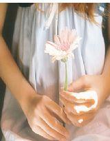 總裁的夜妻 總裁的夜妻