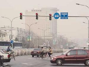 國際綠色和平組織