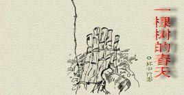 杯中竹影 杯中竹影