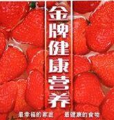 《金牌健康營養》 《金牌健康營養》