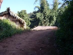 老芒緬自然村 老芒緬自然村