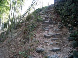 低坪古道 低坪古道