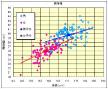 日本人人體寸法データベース1997-98