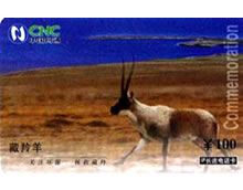 （圖）17908長途卡