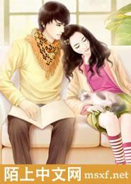 再婚夫妻 再婚夫妻