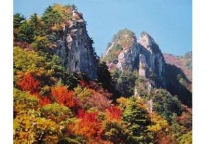 薄山國家森林公園 薄山國家森林公園