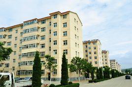 東六莊村 東六莊村