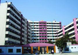 湛江市粵西技工學校 湛江市粵西技工學校