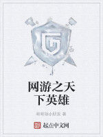 網遊之天下英雄 網遊之天下英雄