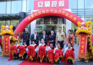 安昊控股有限責任公司