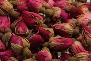 懷正玫瑰 懷正玫瑰