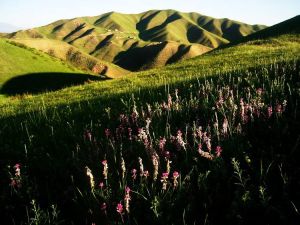 小渠子景區 小渠子景區