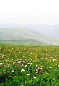 高原山地性氣候 高原山地性氣候