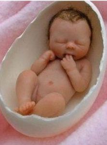 胎兒宮內窘迫 胎兒宮內窘迫