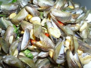 九層塔炒薄殼 九層塔炒薄殼