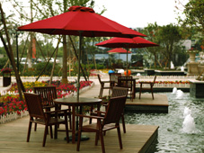 光耀&middot;荷蘭水鄉一角