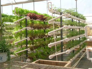 益林生態農業示範園