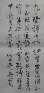 九日登梓州城 九日登梓州城